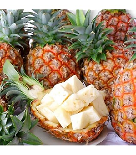 Amazon.co.jp: ～この夏、最高級の黄金果肉一品～「沖縄県産ゴールド